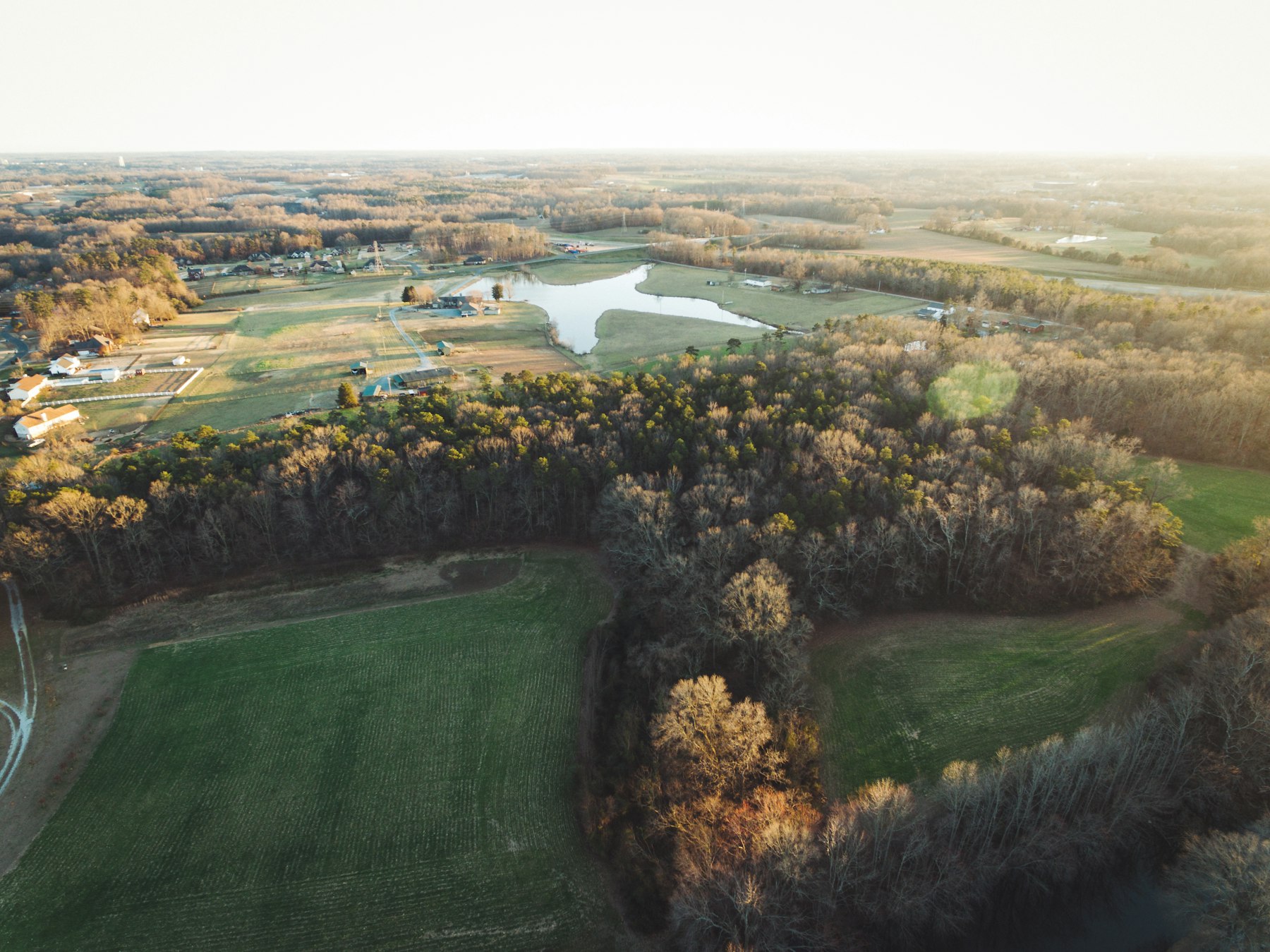 Aerial view of green and gold farmland divided into distinct blocks.