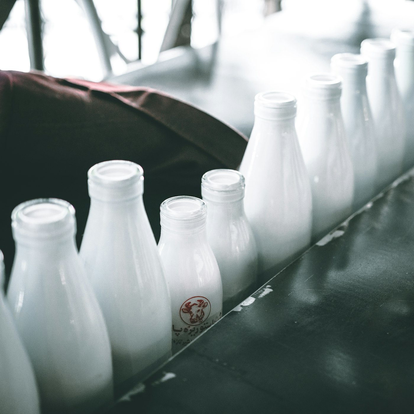 Bottles of fresh milk lined up.