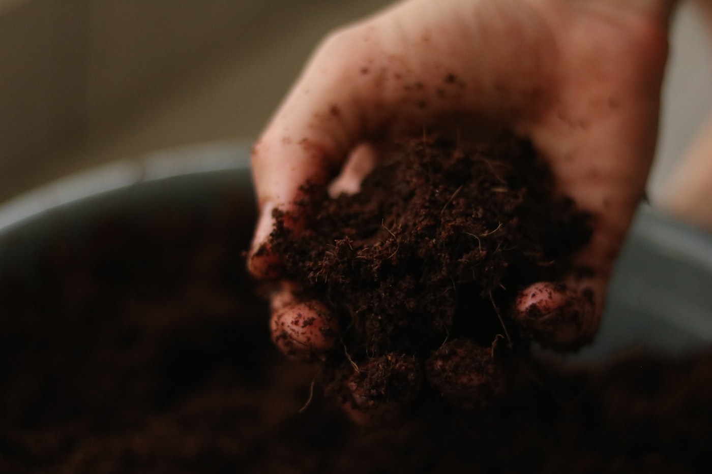 A handful of dark, worked soil.
